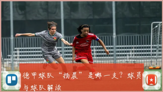 德甲球队“扬晨”是哪一支？球员与球队解读