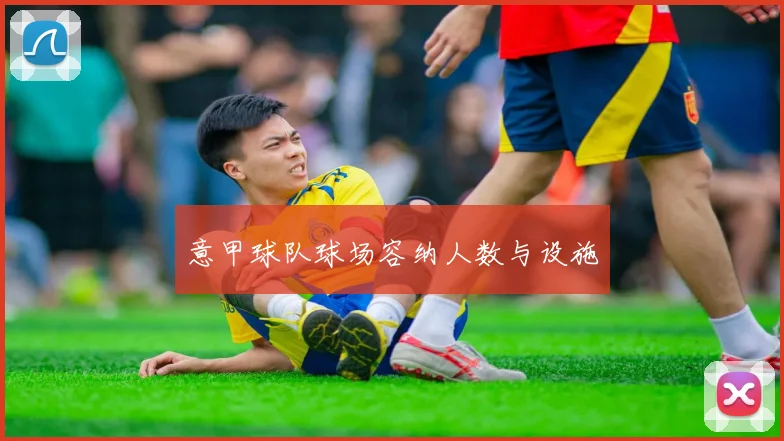 意甲球队球场容纳人数与设施