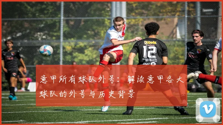 意甲所有球队外号：解读意甲各大球队的外号与历史背景