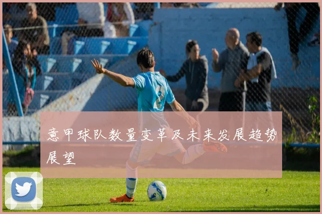 意甲球队数量变革及未来发展趋势展望