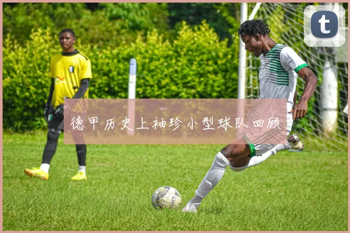 德甲历史上袖珍小型球队回顾